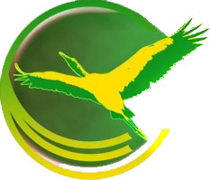 mol-rukh-zelena-ukrayina