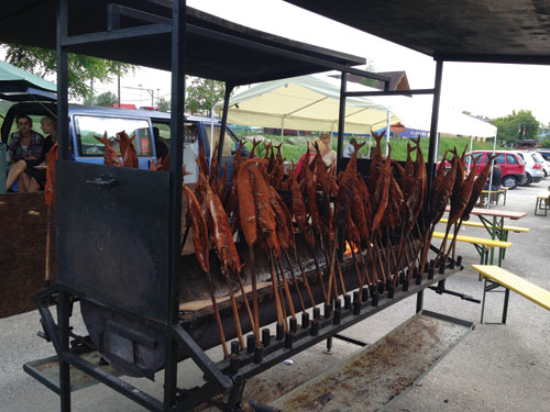 2013-08-28-evrop-biznes-36-alpen-forel-small