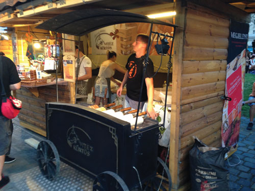 2013-08-28-evrop-biznes-44-budapesht-small