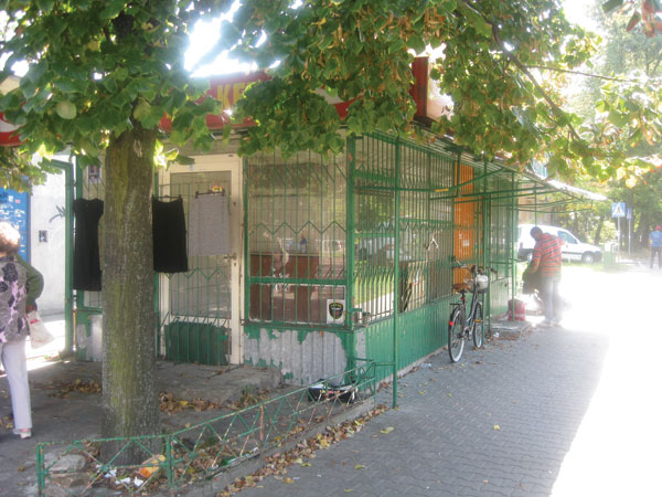 2015 01 27 mafy 34 polsha varshava