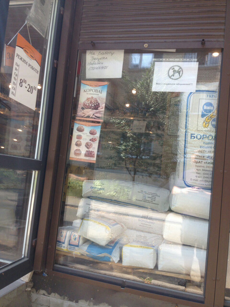 2016 10 06 don provulok 1